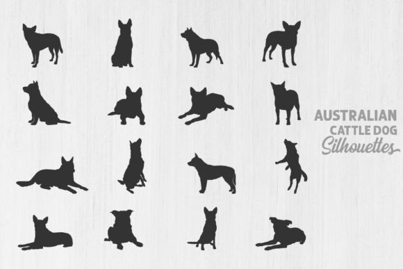 Australian Cattle Dog Silhouettes