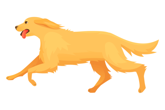 Golden Retriever Running. Cheerful Dog C